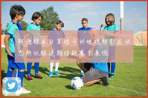 阿德耶米分享格斗训练视频引发状态热议球迷期待新赛季表现