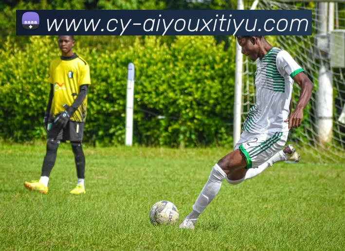 爱游戏体育品牌故事