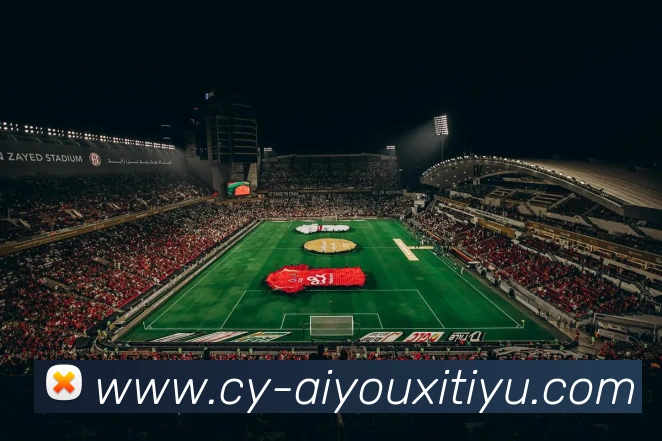 爱游戏体育服务体系