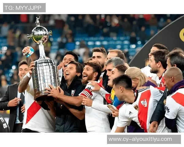 南美解放者杯决赛球队的巴西统治力近十年显著体现