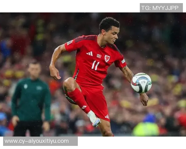 热刺前锋布伦南约翰逊即将加盟水晶宫交易进入最后阶段